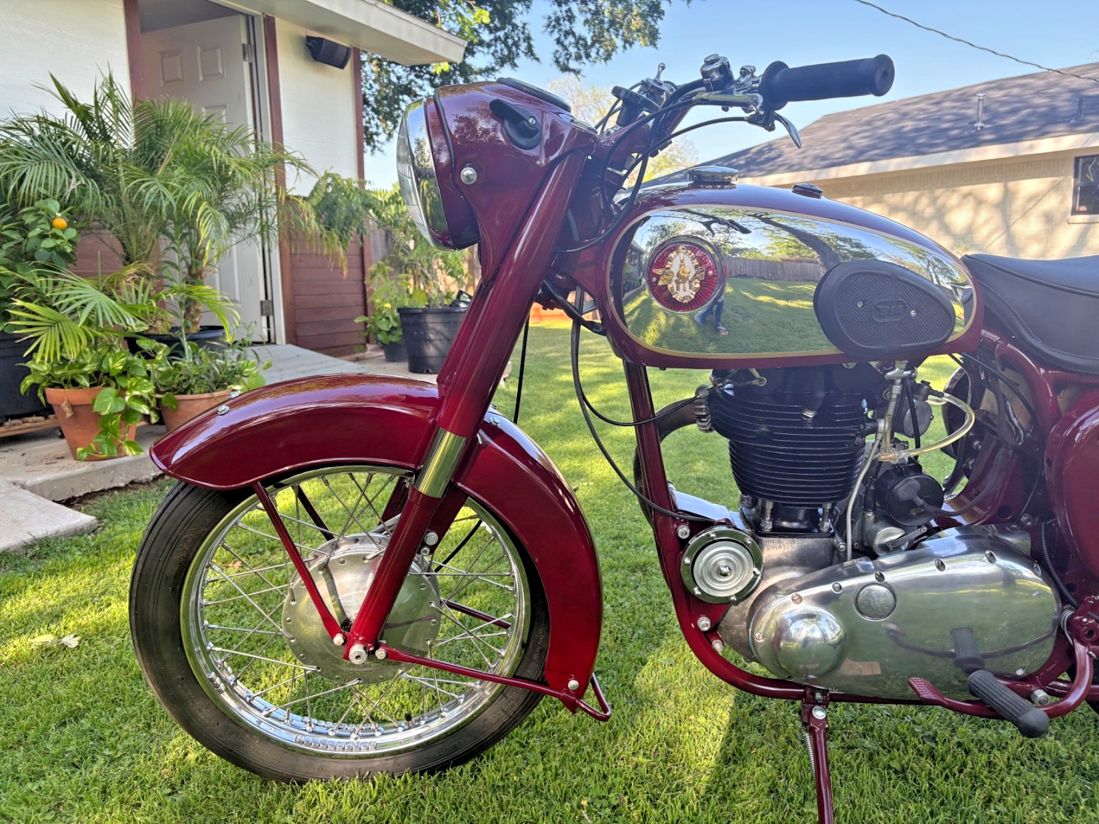 BSA-B31-1956-5