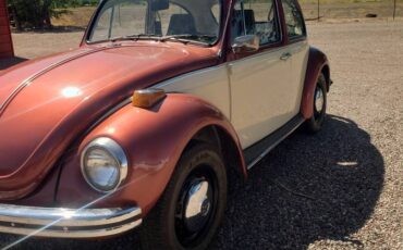 Beetle-1971-custom-15