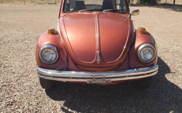 Beetle-1971-custom-16