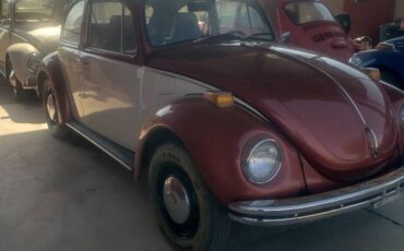 Beetle-1971-custom-2