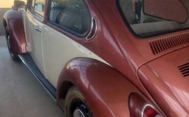 Beetle-1971-custom