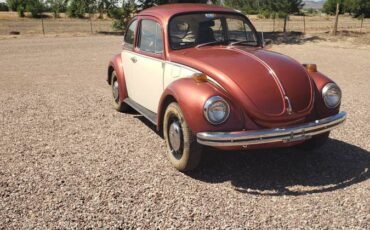 Beetle-1971-custom-4