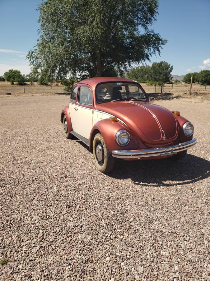 Beetle-1971-custom-4