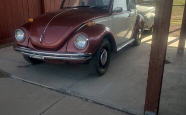 Beetle-1971-custom-5