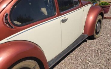 Beetle-1971-custom-6