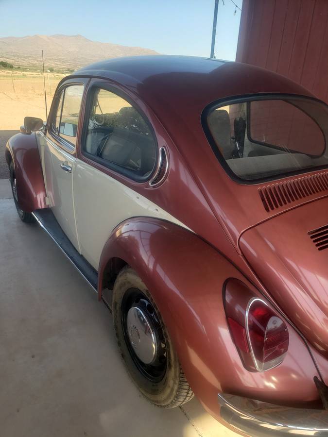 Beetle-1971-custom