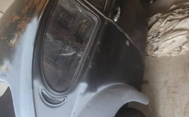 Beetle-1976-1