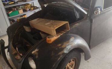 Beetle-1976