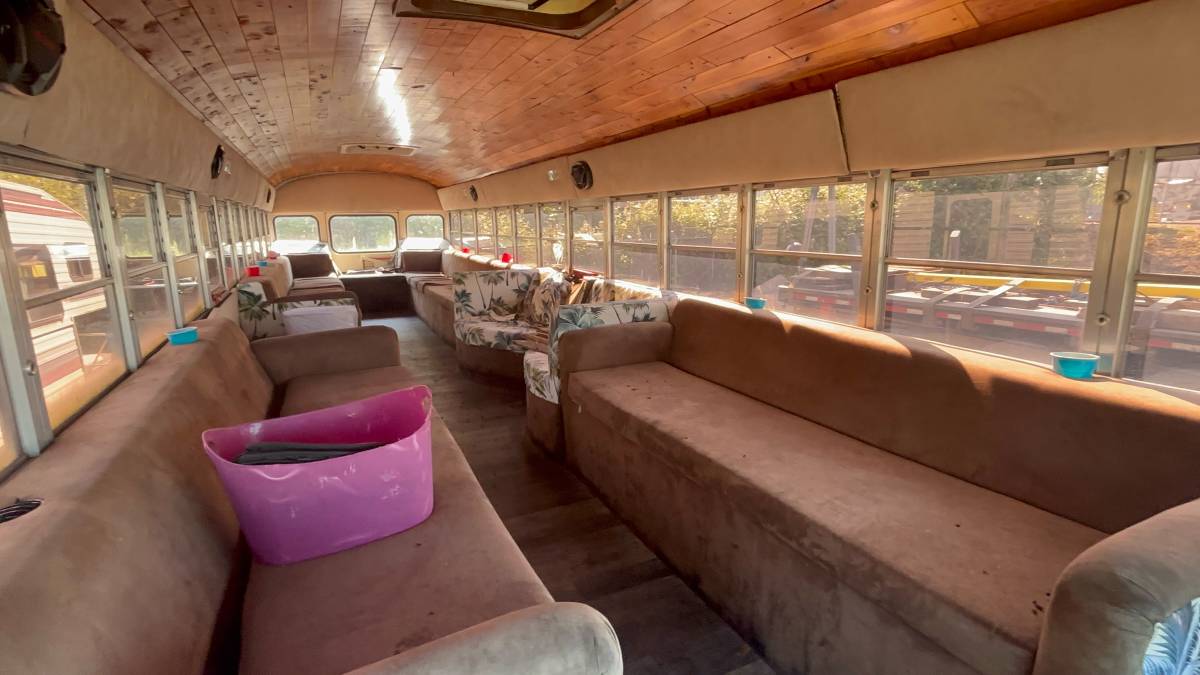 Bluebird-bus-diesel-1991-blue-1