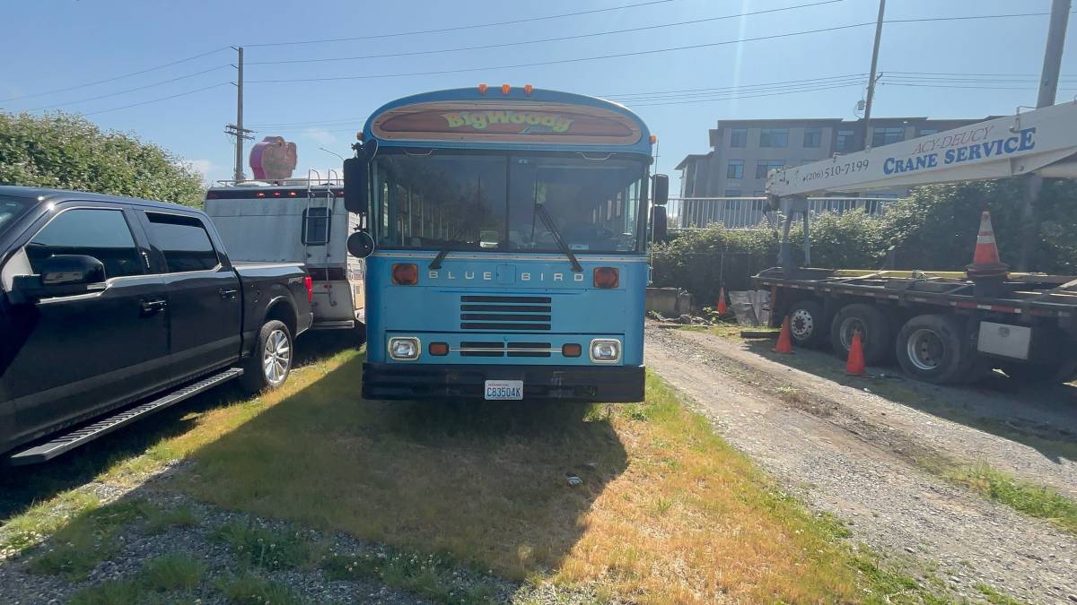 Bluebird-bus-diesel-1991-blue-2