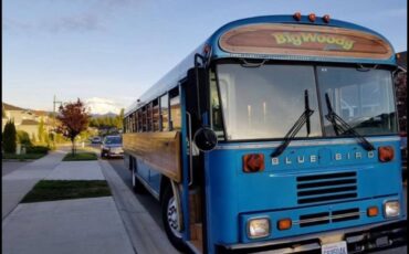 Bluebird-bus-diesel-1991-blue