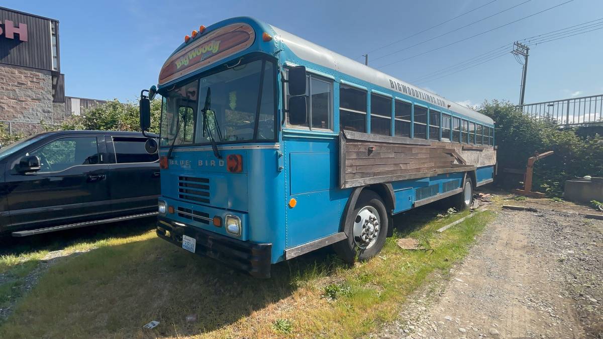 Bluebird-bus-diesel-1991-blue-9