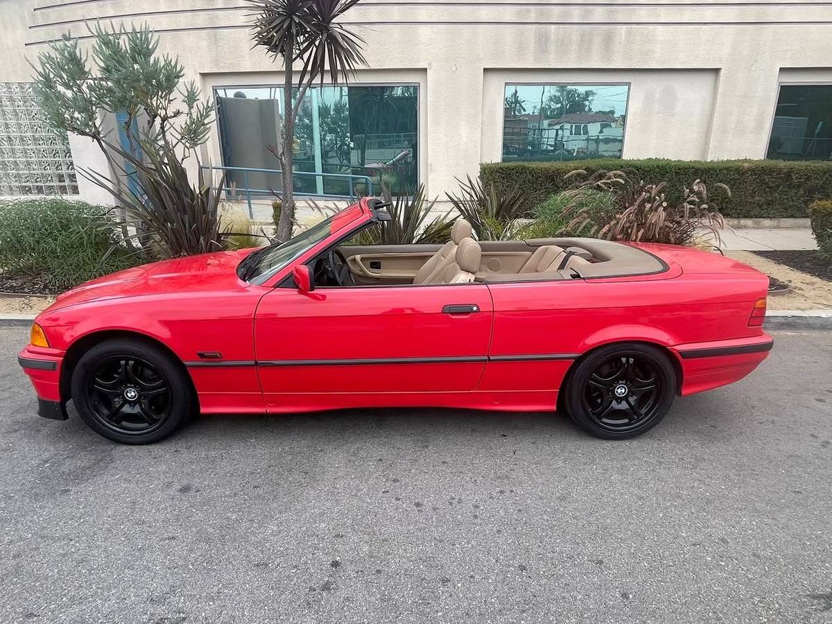 Bmw-318i-1995-16