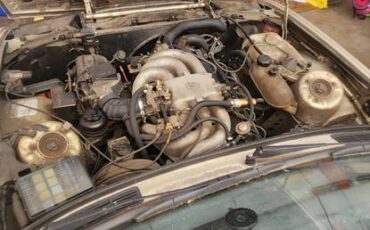 Bmw-325-1985-4