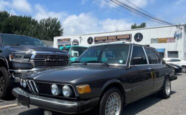 Bmw-528i-1981-grey