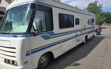 Brave-winnebago-1993-white