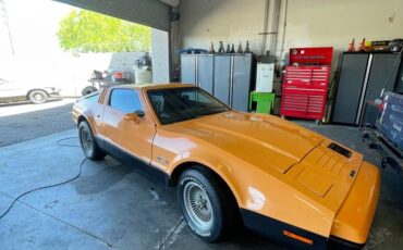 Bricklin-sv-1-1975-orange-8
