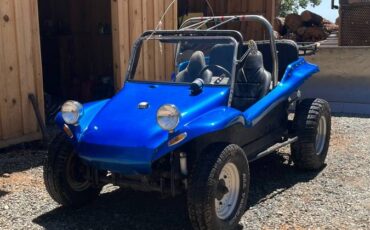 Bug-1971-blue-1
