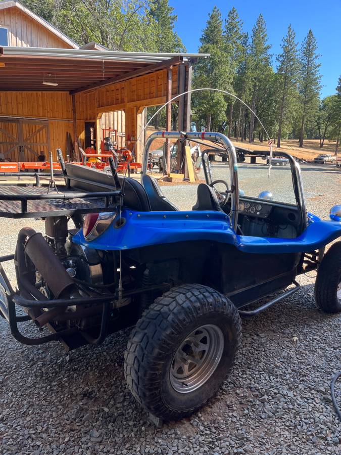 Bug-1971-blue