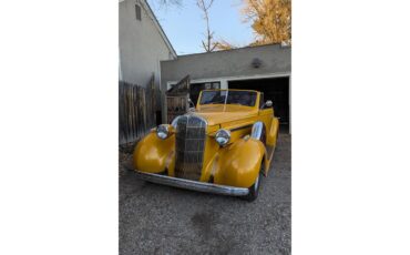 Buick-Convertible-1936-Gold-Plum-1