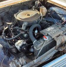 Buick-Electra-225-1963-Two-Tone-16