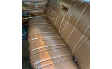 Buick-Electra-225-1973-Yellow-tan-5