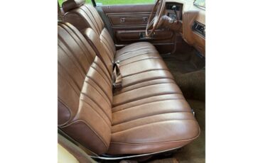 Buick-Electra-225-1973-Yellow-tan-6