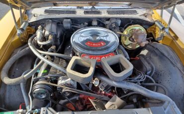 Buick-Grand-Sport-Stage-1-1970-GS-455-Engine-38