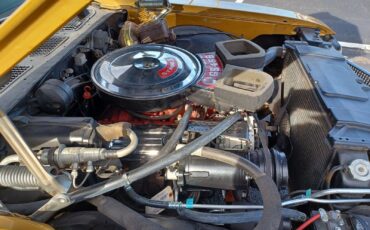 Buick-Grand-Sport-Stage-1-1970-GS-455-Engine-39