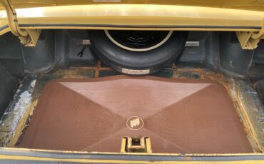 Buick-Le-Sabre-1973-Coupe-12