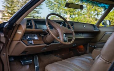 Buick-LeSabre-1976-Coupe-13
