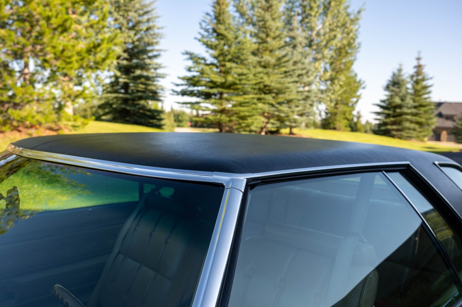 Buick-LeSabre-1976-Coupe-14