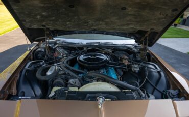 Buick-LeSabre-1976-Coupe-6