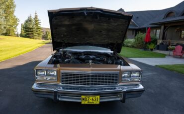 Buick-LeSabre-1976-Coupe-7