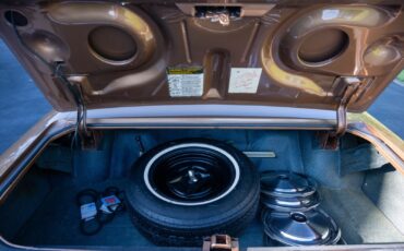 Buick-LeSabre-1976-Coupe-9