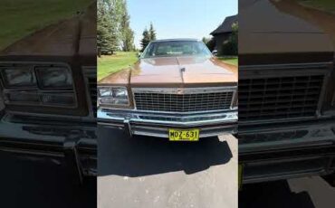 Buick-Lesabre-1976-MUSKET-BROWN-TAN-2