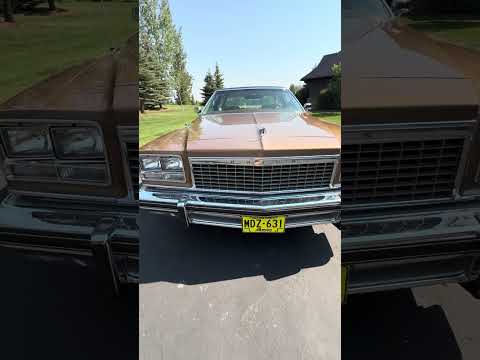 Buick-Lesabre-1976-MUSKET-BROWN-TAN-2