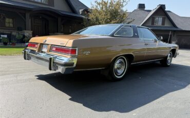 Buick-Lesabre-1976-MUSKET-BROWN-TAN-3