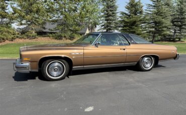 Buick-Lesabre-1976-MUSKET-BROWN-TAN-4