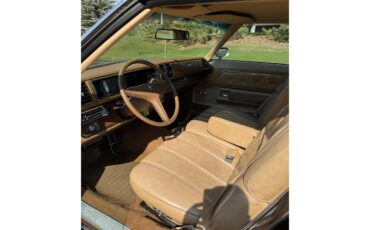 Buick-Lesabre-1976-MUSKET-BROWN-TAN-5