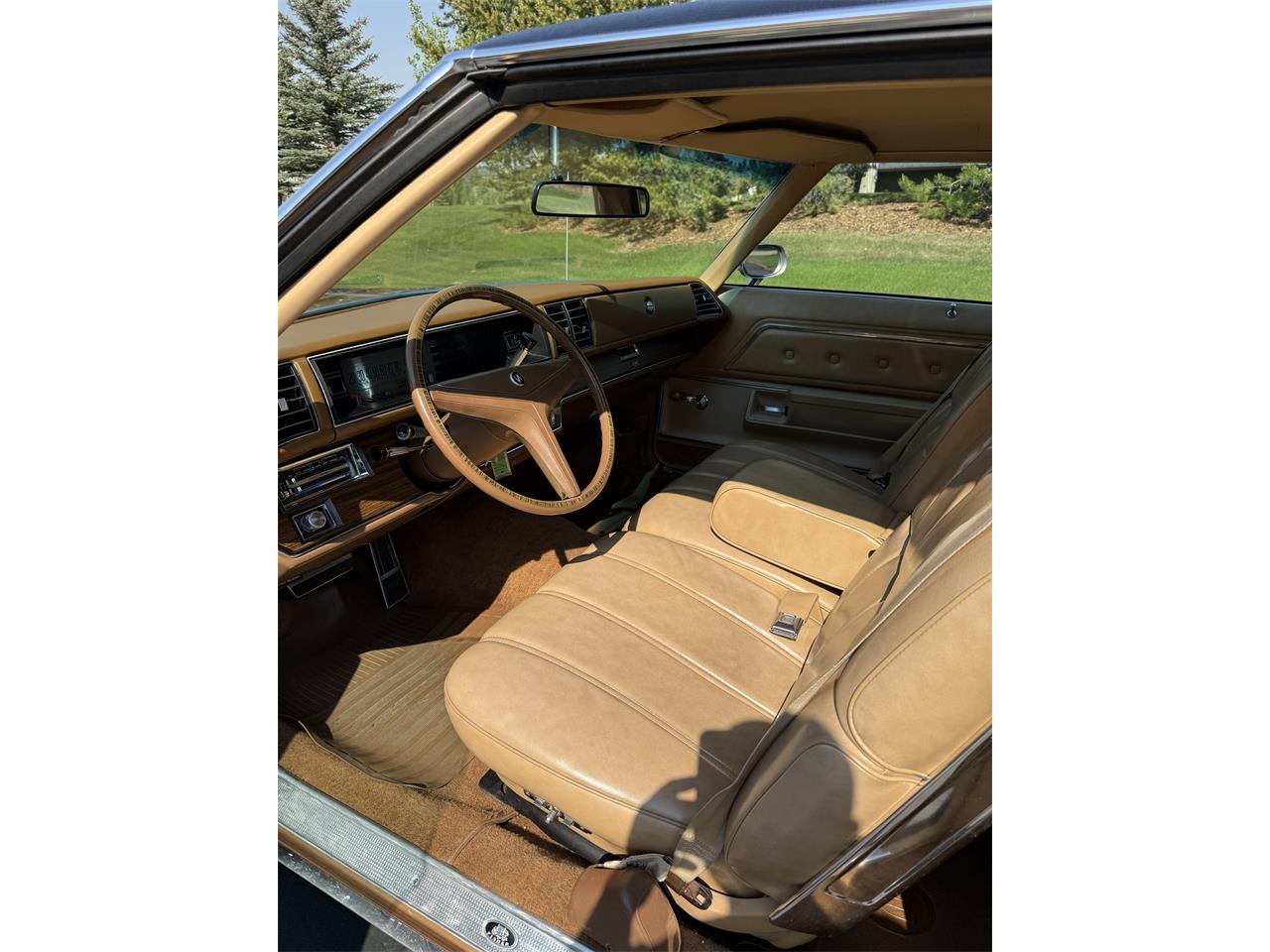 Buick-Lesabre-1976-MUSKET-BROWN-TAN-5