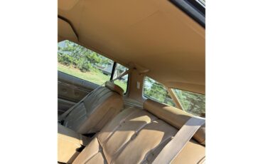 Buick-Lesabre-1976-MUSKET-BROWN-TAN-7