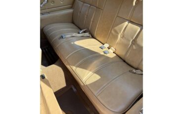 Buick-Lesabre-1976-MUSKET-BROWN-TAN-8
