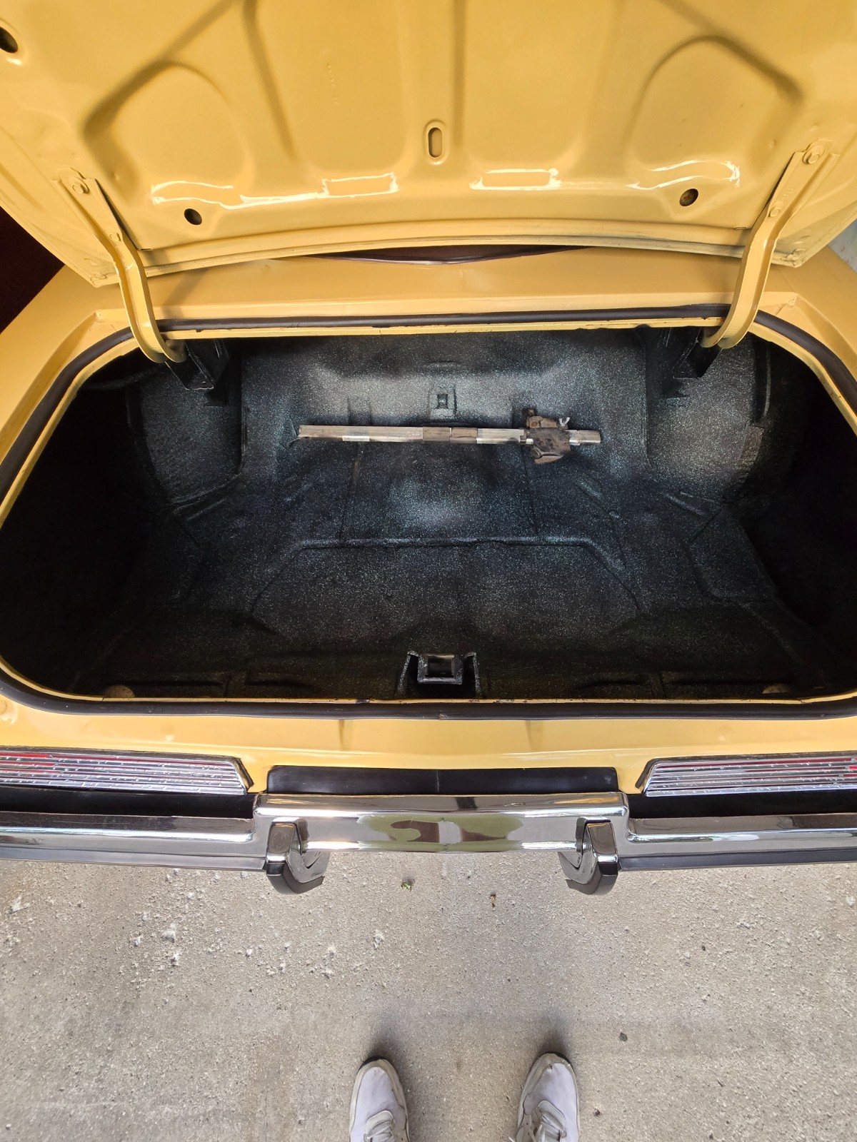 Buick-Regal-1973-Coupe-27
