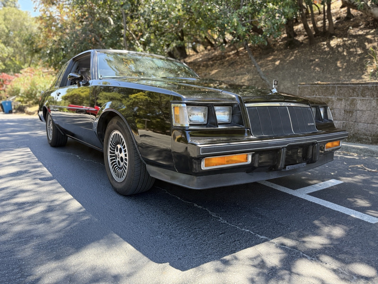 Buick-Regal-1985-Coupe-7