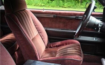 Buick-Regal-1987-COUPE-11