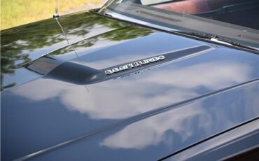 Buick-Regal-1987-COUPE-20