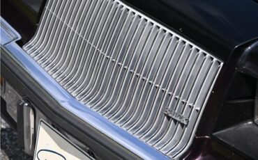 Buick-Regal-1987-COUPE-21