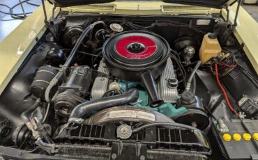 Buick-Riviera-1965-Bamboo-Creme-Black-10