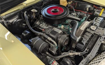 Buick-Riviera-1965-Bamboo-Creme-Black-11